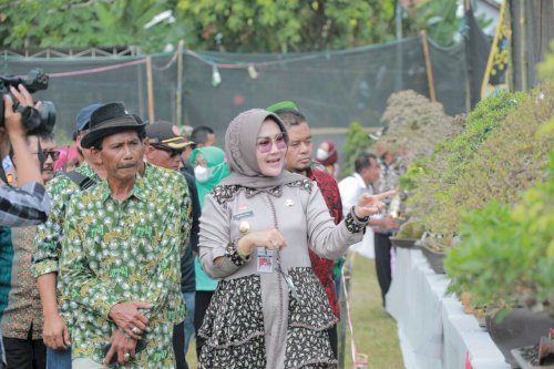 Bupati Klaten Hadiri Pameran Kontes Bonsai Di Desa Tirtomarto Cawas