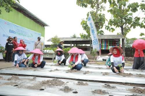 Hadiri Program Gerakan Sejuta Cabai, Bupati Klaten Harap Dapat Menekan Inflasi