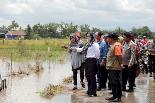 Tinjau Banjir Desa Bener, Bupati Klaten Harap Warga Selalu Waspada