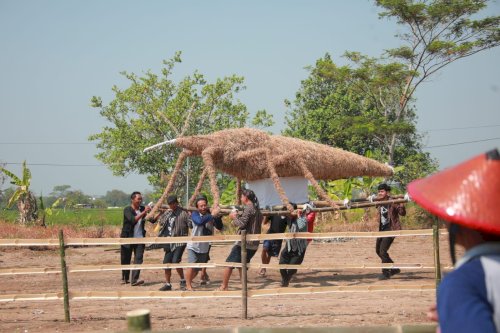 Wabup Klaten Hadiri Festival Mbok Sri #6