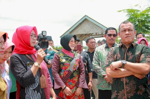 Tinjau Lahan Pertanian Terdampak El Nino, Komisi IV DPR RI  Akan Tambah Area Tanam Padi