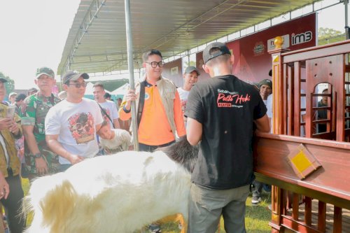 Bupati Klaten Dorong Peningkatan Kualitas Ternak melalui Kontes Kambing Kaligesing dan Domba 2026 