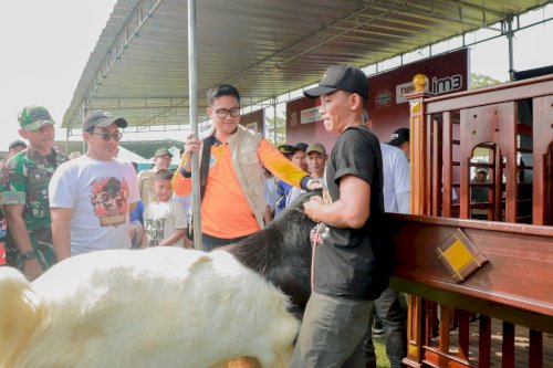 Bupati Klaten Dorong Peningkatan Kualitas Ternak melalui Kontes Kambing Kaligesing dan Domba 2026 