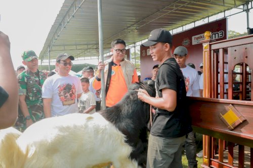 Bupati Klaten Dorong Peningkatan Kualitas Ternak melalui Kontes Kambing Kaligesing dan Domba 2026 