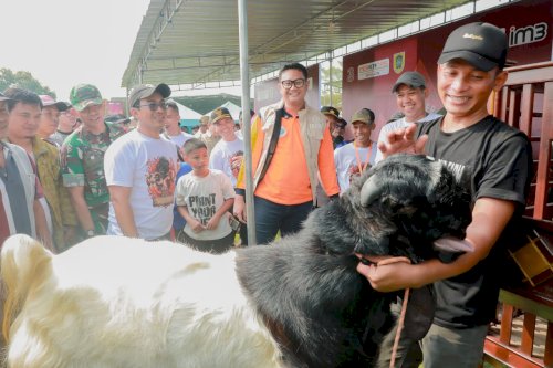 Bupati Klaten Dorong Peningkatan Kualitas Ternak melalui Kontes Kambing Kaligesing dan Domba 2026 