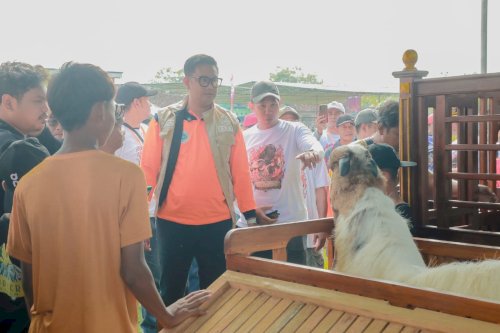 Bupati Klaten Dorong Peningkatan Kualitas Ternak melalui Kontes Kambing Kaligesing dan Domba 2026 