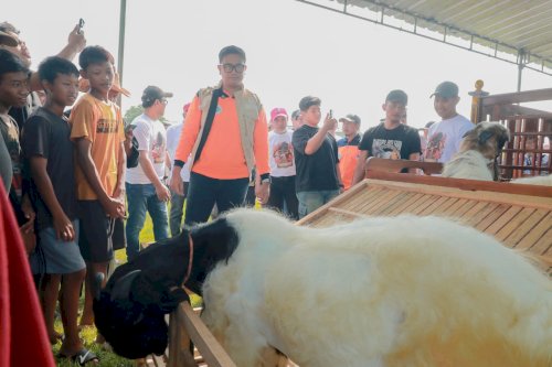 Bupati Klaten Dorong Peningkatan Kualitas Ternak melalui Kontes Kambing Kaligesing dan Domba 2026 