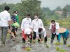 Menteri Pertanian RI lakukan penanaman padi Rojolele Srinuk bersama Bupati Klaten di Delanggu