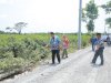 Wakil Bupati Klaten Meninjau Jalan Rusak Daerah Manjungan Ngawen