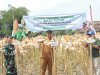 Wabup Benny: Bantuan Benih Jagung 2026 Jadi Langkah Akselerasi Swasembada Pangan