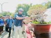 Bupati Klaten Apresiasi Pameran Bonsai 2026, Dorong Pengembangan Industri Bonsai Berkelanjutan 