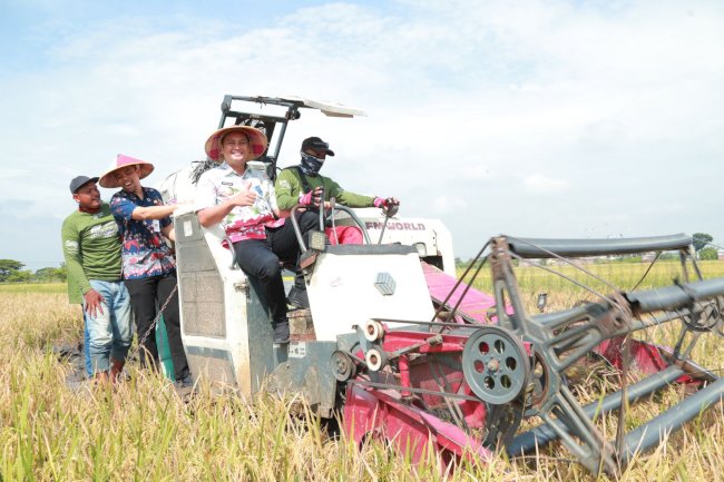 Bupati dan Wabup Klaten Hadiri Panen Raya Poktan “Mardi Rahayu” Taji Kecamatan Juwiring