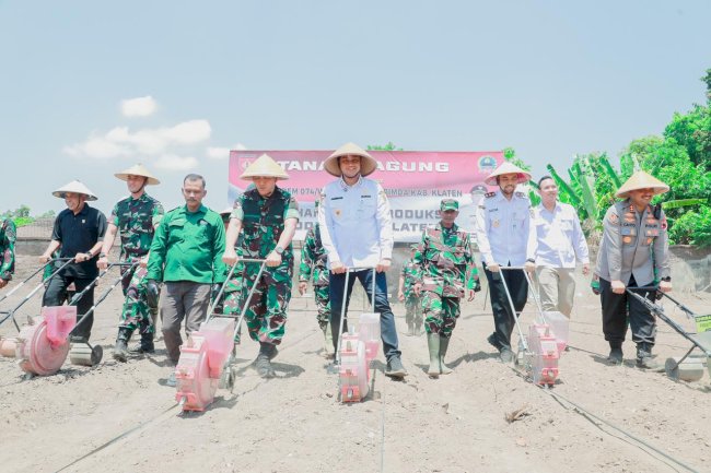 Wujudkan Ketahanan Pangan, Mas Hamenang & Mas Benny Menanam Jagung bersama Danrem 074/ Warastratama