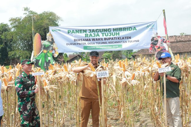 Wabup Benny: Bantuan Benih Jagung 2026 Jadi Langkah Akselerasi Swasembada Pangan