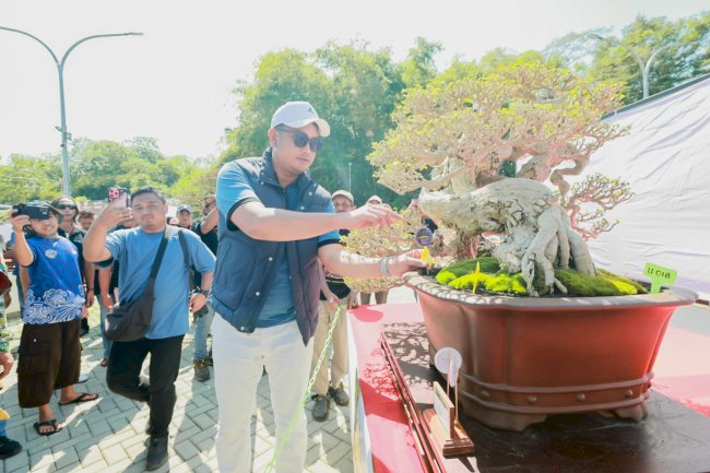 Bupati Klaten Apresiasi Pameran Bonsai 2026, Dorong Pengembangan Industri Bonsai Berkelanjutan 