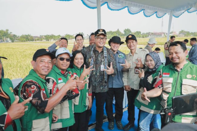 Produksi Padi Klaten Tembus 267 Ribu Ton, Pemprov Jateng Perkuat Dukungan Pertanian 