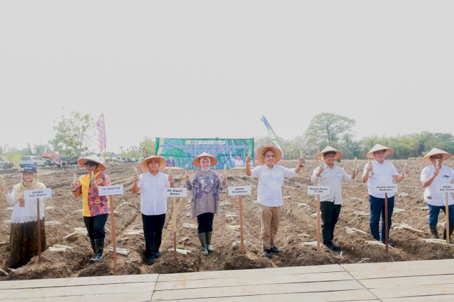 Dukung Swasembada Gula Nasional, Pemkab Klaten Gelar Tanam Perdana Program Bongkar Ratoon