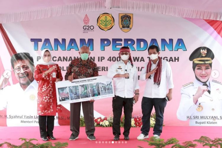 Menteri Pertanian RI lakukan penanaman padi Rojolele Srinuk bersama Bupati Klaten di Delanggu