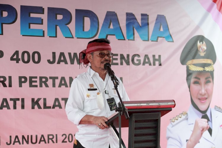 Menteri Pertanian RI lakukan penanaman padi Rojolele Srinuk bersama Bupati Klaten di Delanggu