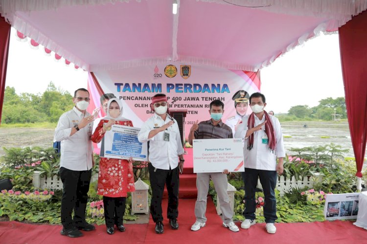 Menteri Pertanian RI lakukan penanaman padi Rojolele Srinuk bersama Bupati Klaten di Delanggu