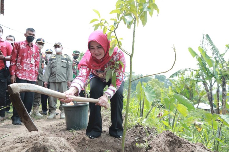 Bupati Klaten Launching Angkutan Wisata DAMRI Rute Terminal Ir. Soekarno Klaten - Kampung Girpasang Klaten