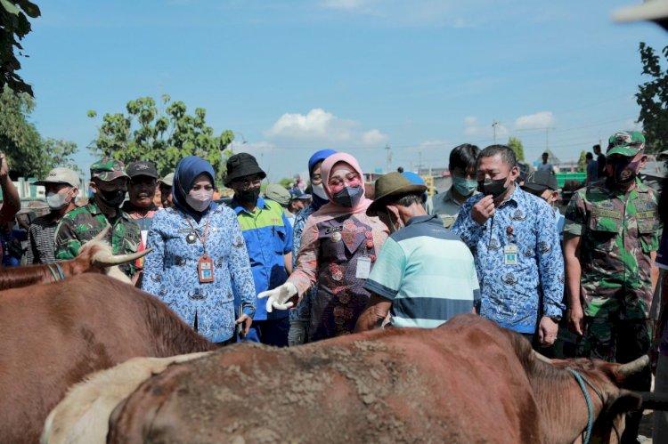 Waspada Penyebaran PMK, Jajaran Pemkab Klaten Cek Pasar Ternak Prambanan