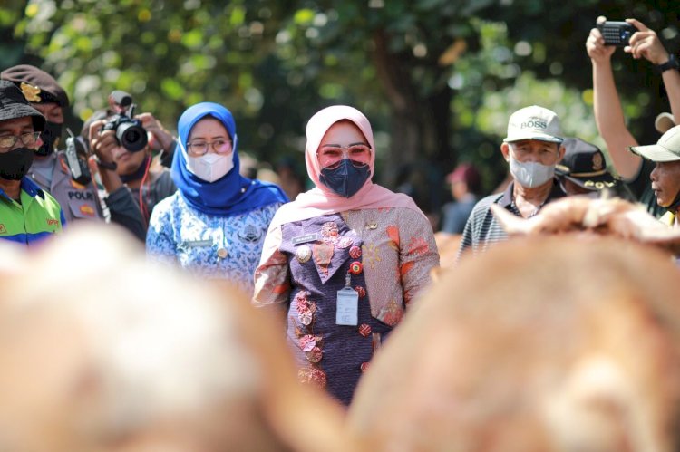 Waspada Penyebaran PMK, Jajaran Pemkab Klaten Cek Pasar Ternak Prambanan