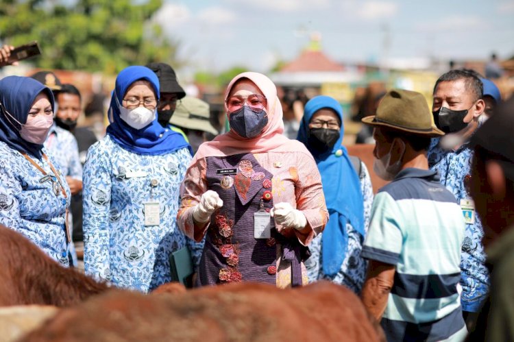 Waspada Penyebaran PMK, Jajaran Pemkab Klaten Cek Pasar Ternak Prambanan