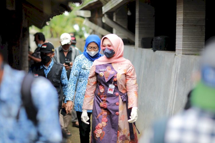 Tanggulangi PMK, Bupati Klaten Berikan Sosialisasi dan Cek Hewan Ternak di Kemalang