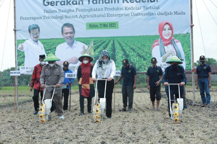 Dirjen Tanaman Pangan Kementan RI Buka Gerakan Tanam Kedelai dan Canangkan Tunas Tunas Bangkit Kedelai di Klaten