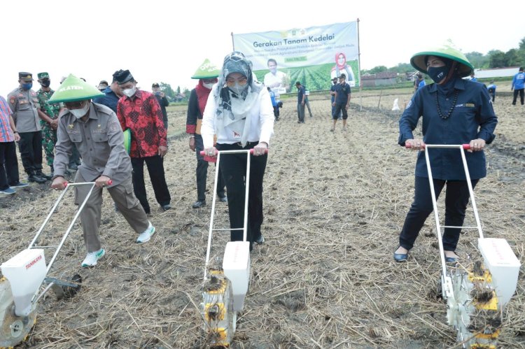 Dirjen Tanaman Pangan Kementan RI Buka Gerakan Tanam Kedelai dan Canangkan Tunas Tunas Bangkit Kedelai di Klaten