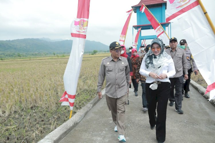 Dirjen Tanaman Pangan Kementan RI Buka Gerakan Tanam Kedelai dan Canangkan Tunas Tunas Bangkit Kedelai di Klaten