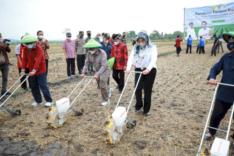 Dirjen Tanaman Pangan Kementan RI Buka Gerakan Tanam Kedelai dan Canangkan Tunas Tunas Bangkit Kedelai di Klaten