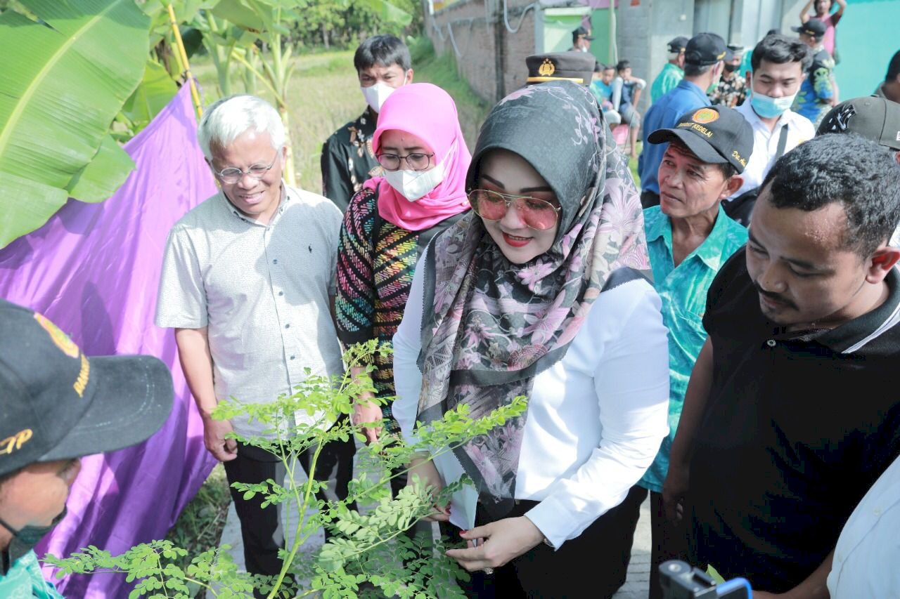 Dirjen Tanaman Pangan Kementan RI Kenalkan Biosaka Kepada Petani Klaten