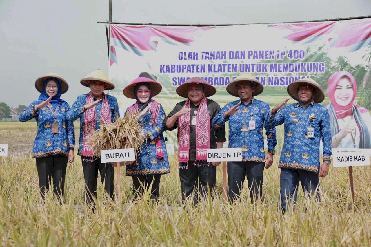 Panen Padi IP 400, Bupati Klaten Ajak Petani Wujudkan Kemandirian Pangan