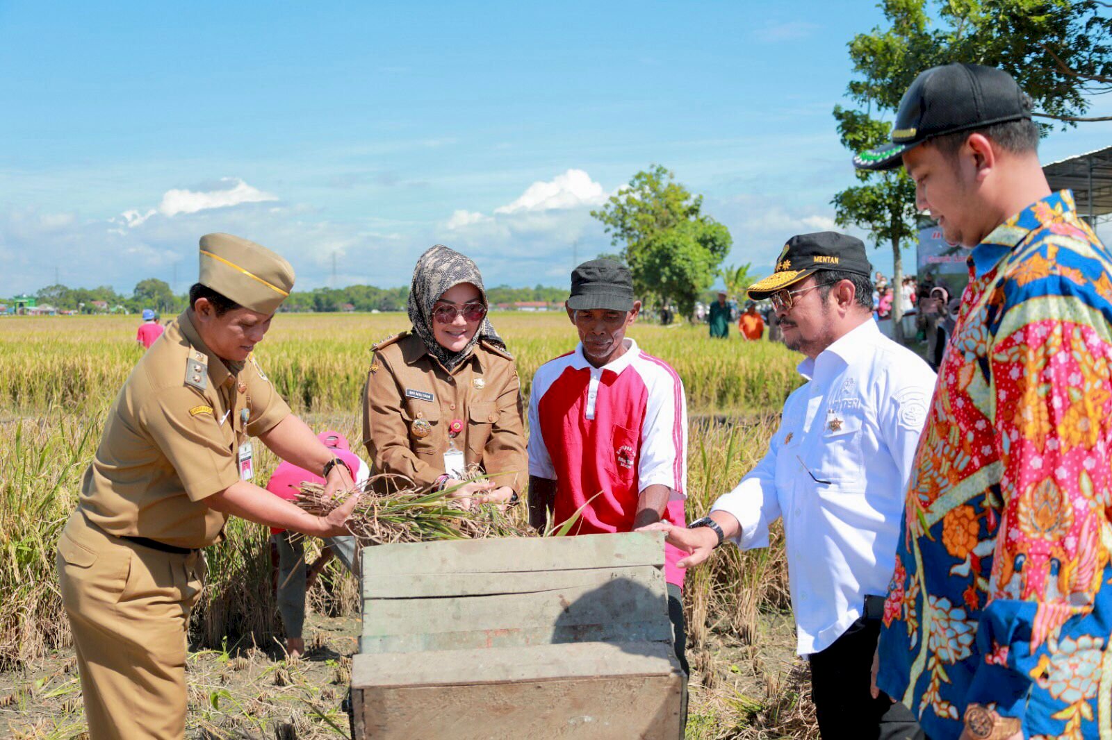 Panen Raya Padi, Mentan Canangkan Klaten Sebagai Kabupaten Percontohan Program IP 400