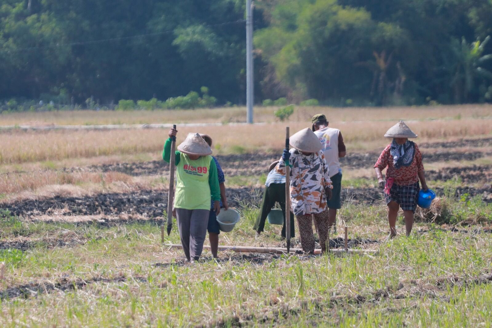 Bupati Klaten Launching Inovasi FKUB Klaten Desa Sadar Kerukunan Berbasis Pertanian 