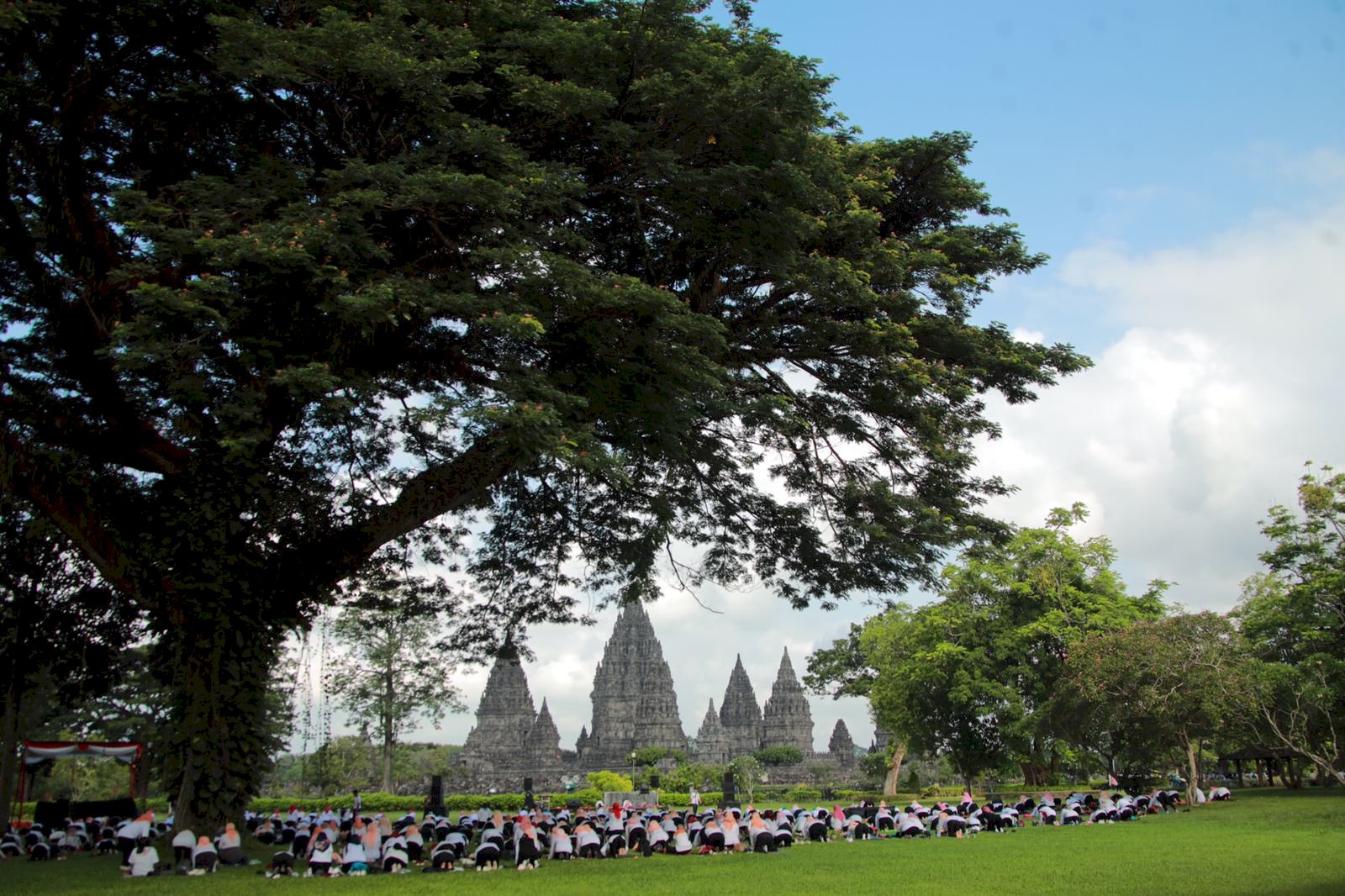 Dharma Wanita Persatuan Klaten Gelar Senam Yoga