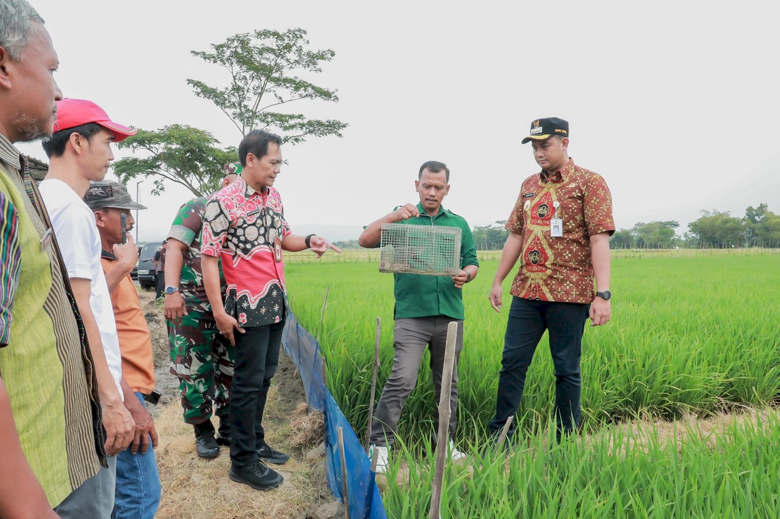 Mas Hamenang Hadiri Sosialisasi Gemarikan & Tinjau Pengendalian Hama Tikus dengan Trapbarrier System